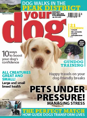 Your Dog Magazine July 2023