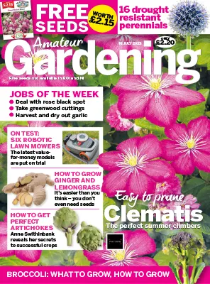Amateur Gardening 15 July 2023