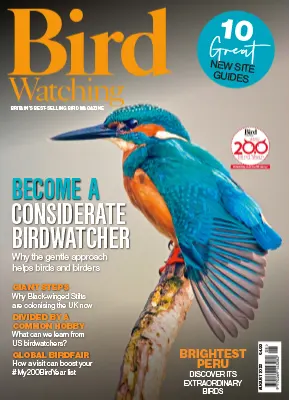 Bird Watching UK August 2023