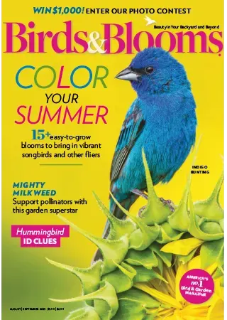 Birds Blooms AugustSeptember 2023