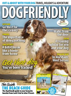Dog Friendly Issue 78 July August 2023