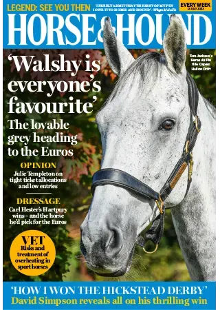 Horse Hound 13 July 2023
