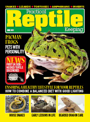 Practical Reptile Keeping June 2023