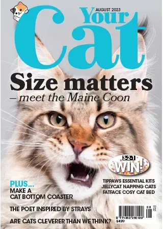Your Cat Magazine August 2023