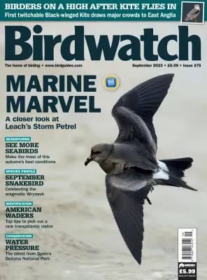 Birdwatch UK Issue 375 September 2023