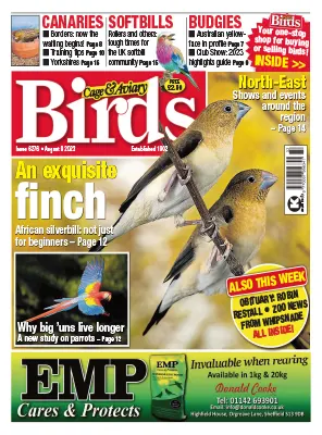 Cage Aviary Birds Issue 6276 August 9 2023