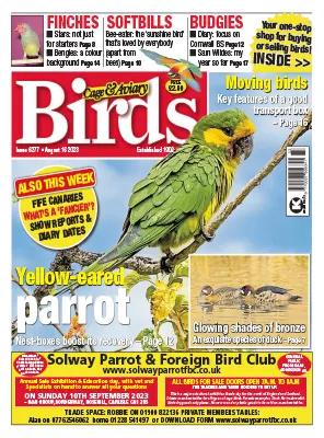Cage Aviary Birds Issue 6277 August 16 2023