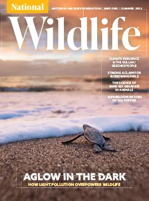 National Wildlife Summer 2023