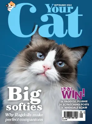 Your Cat Magazine September 2023
