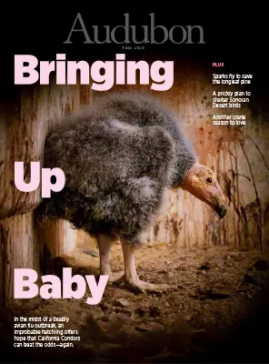 Audubon Magazine Fall 2023