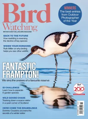 Bird Watching UK November 2023