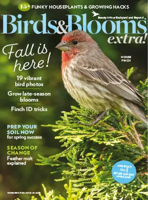Birds and Blooms Extra November 2023