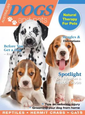 Dogs and Pets Issue 4 2023