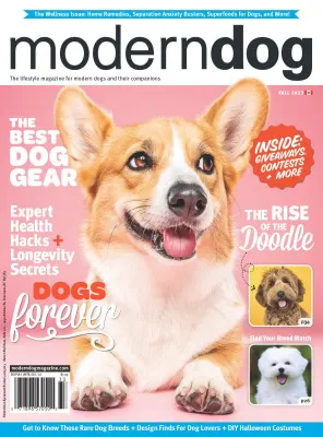 Modern Dog Canada Fall 2023