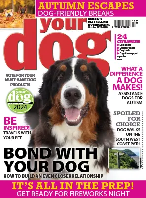 Your Dog Magazine – October 2023