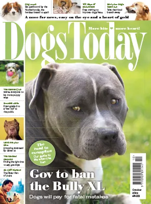 Dogs Today UK October 2023