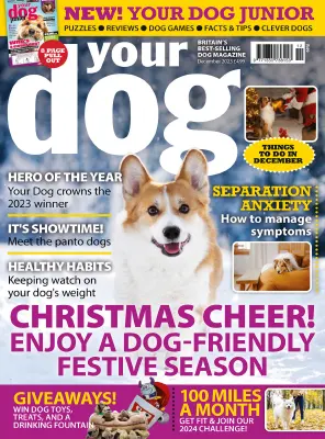 Your Dog Magazine December 2023