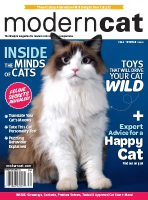 Modern Cat Fall Winter 2023