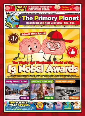 The Primary Planet News Flash November 2024