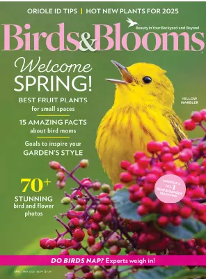 Birds Blooms April May 2025