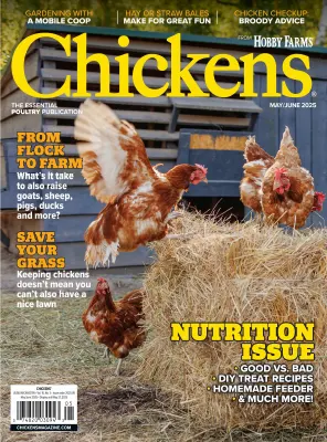Chickens May June 2025