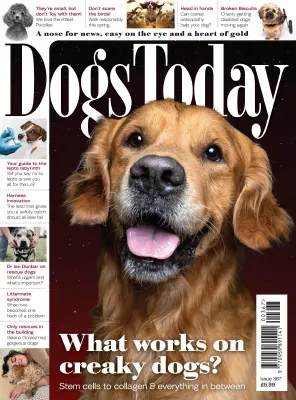 Dogs Today UK Issue 367 2025