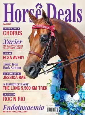 Horse Deals April 2025
