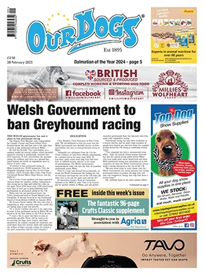 Our Dogs 28 February 2025