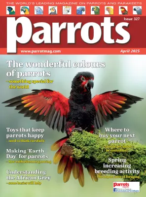 Parrots Issue 327 April 2025 1