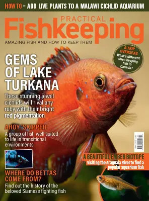 Practical Fishkeeping April 2025