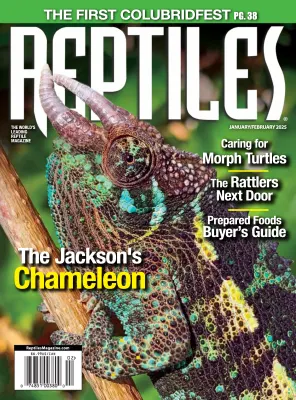 Reptiles January February 2025