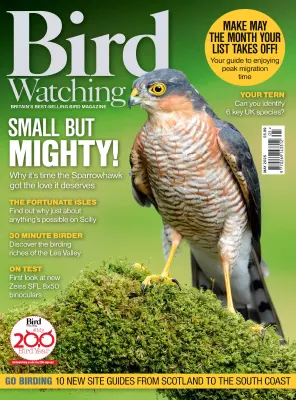 Bird Watching UK May 2025