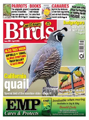 Cage Aviary Birds Issue 6362 April 9 2025