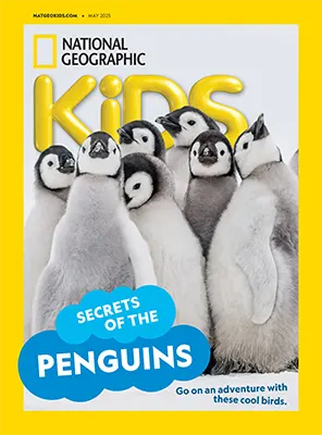 National Geographic Kids USA May 2025