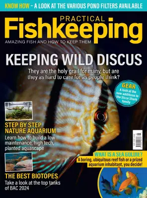Practical Fishkeeping May 2025