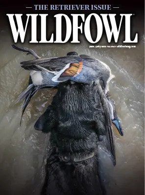 Wildfowl Vol. 40 Issue 3 June July 2025