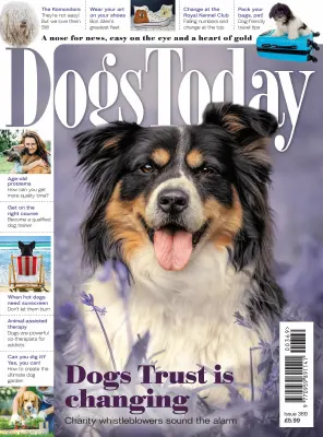 Dogs Today UK Issue 369 2025