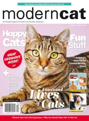 Modern Cat Spring Summer 2025