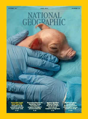 National Geographic USA Vol. 247 No. 06 June 2025