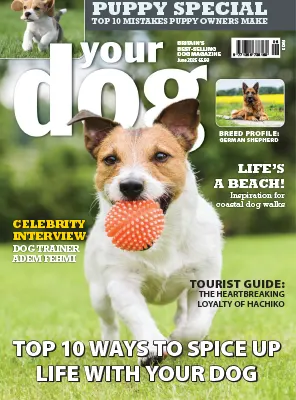Your Dog June 2025