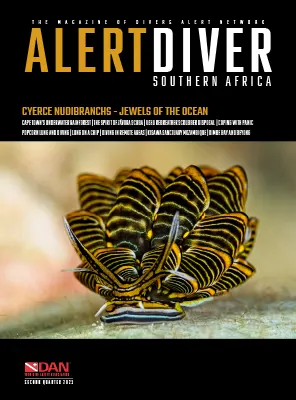 Alert Diver Second Quarter 2025