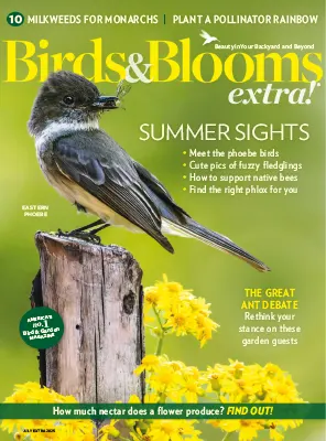 Birds Blooms Extra July 2025