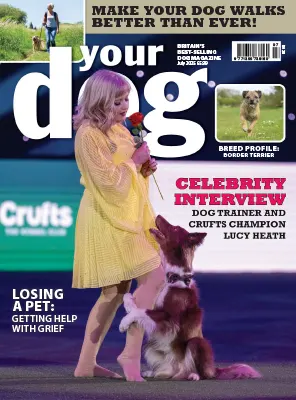 Your Dog July 2025