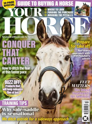 Your Horse Issue 532 July 2025