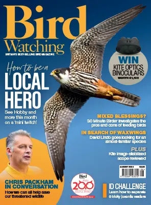 Bird Watching UK August 2025