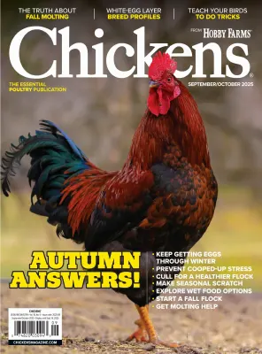 Chickens – September October 2025