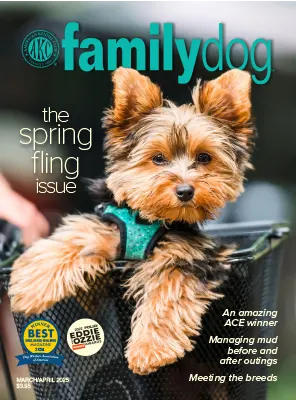 Familydog March April 2025