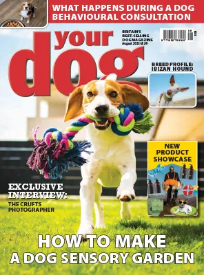 Your Dog August 2025