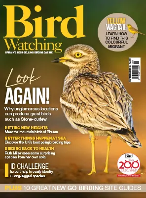 Bird Watching UK September 2025