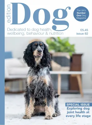 Edition Dog Issue 82 2025